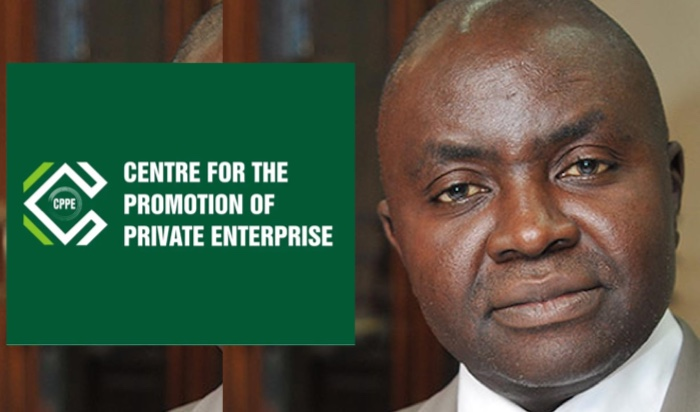 CPPE seeks fresh development finance model as Nigeria’s real sector faces over N50trn funding deficit