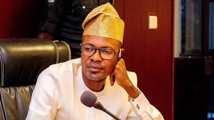 Adeyemi says he borrowed N100m to secure Presidential Foreign Intervention Promotion Council DG appointment