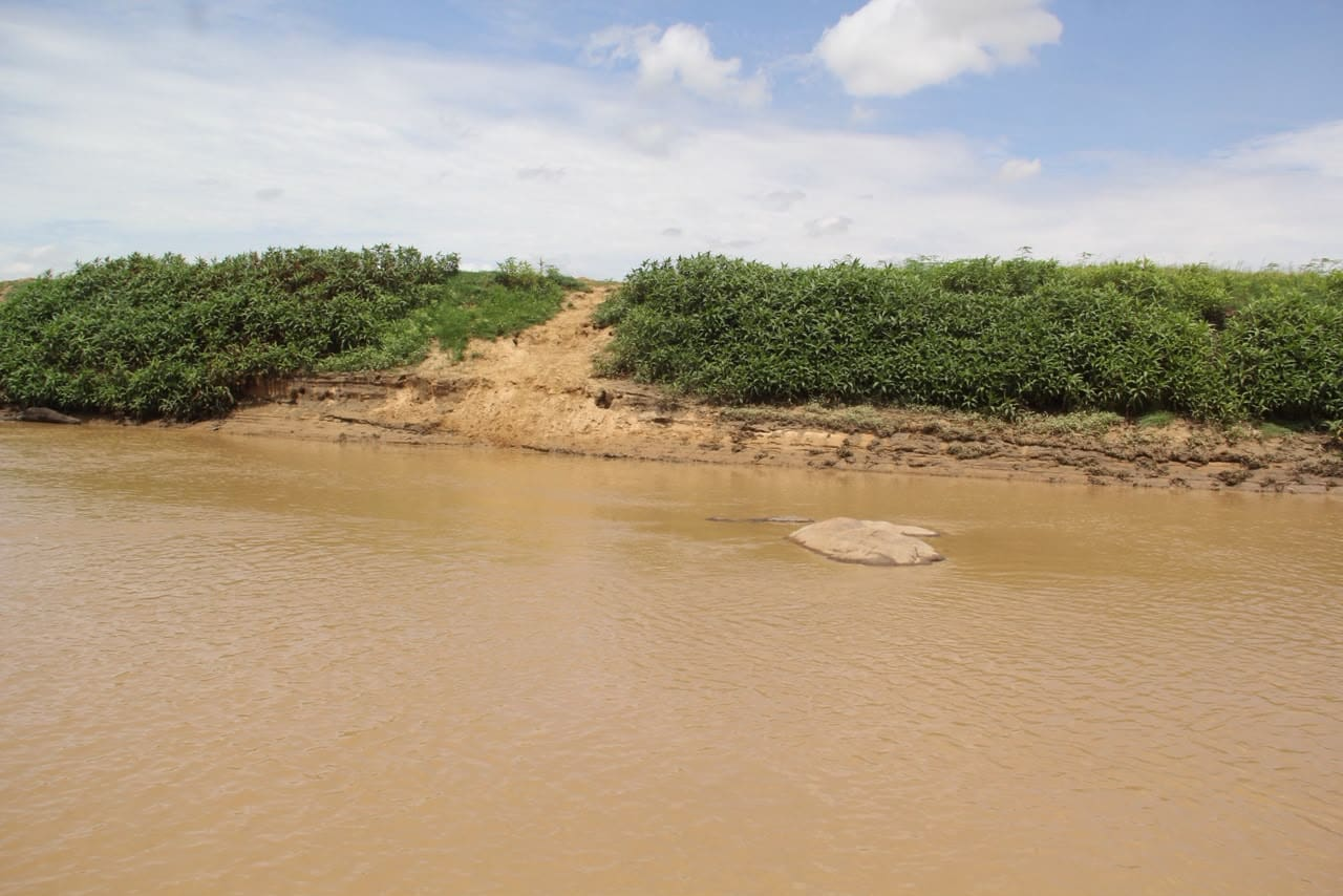 Shrinking Lake Kainji puts Kebbi irrigation farming, food supply at risk