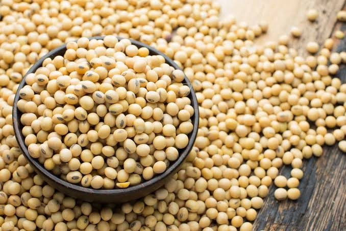 Tariff evasion: India uncovers suspected scheme to pass Nigerian soybeans as Niger products